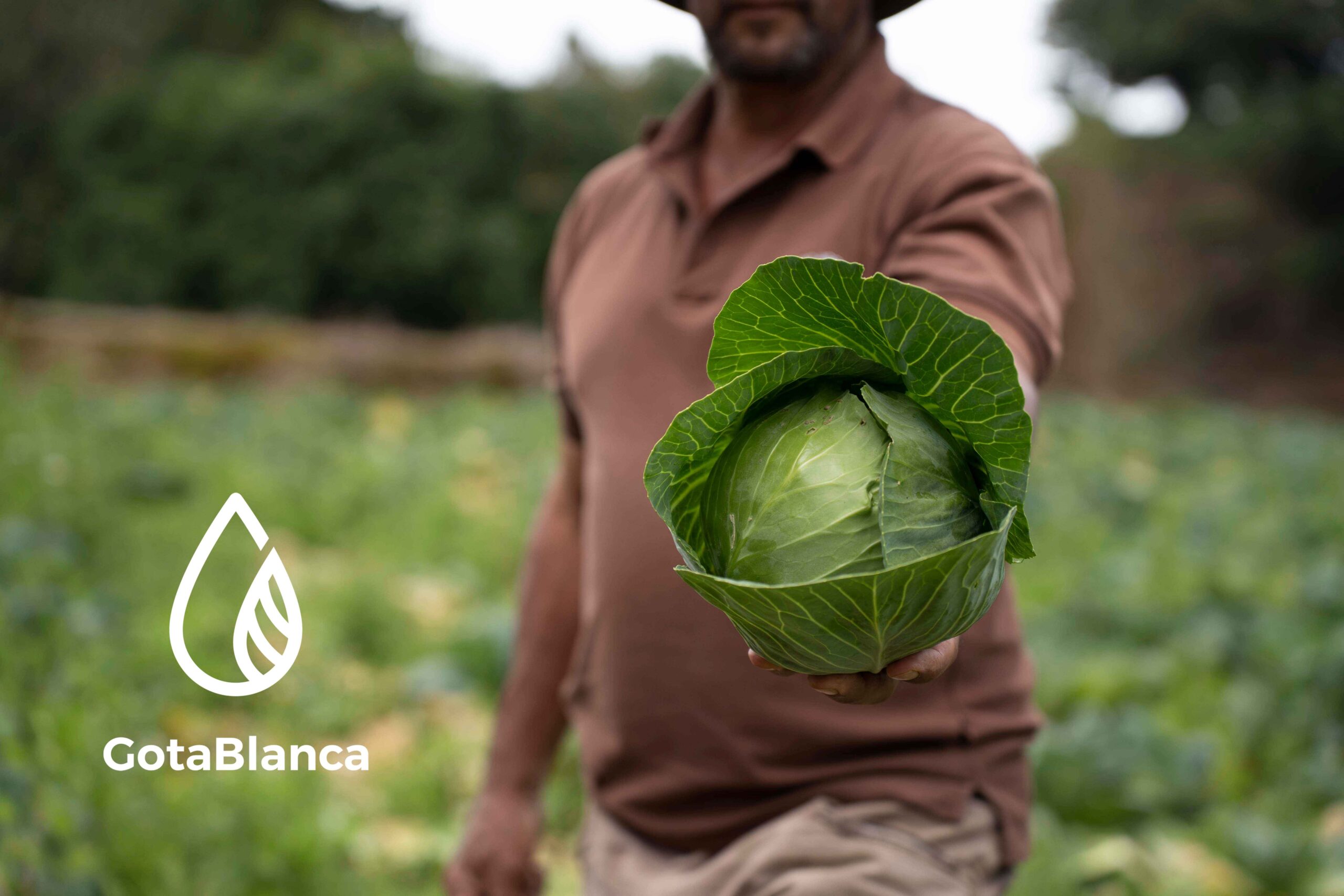 GOTABLANCA-REPOLLO-EDIN