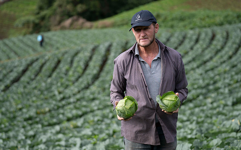 Testimonio: Don Eugenio Segura – Productor de repollo y zanahoria en Pueblo Nuevo de Zarcero, Costa Rica