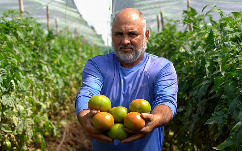 Testimonio: Don Geovanny Herrera – Productor referente de tomate, chile y cebolla en Costa Rica