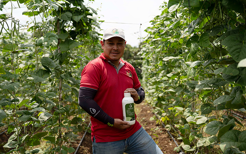 GotaBlanca 500 impulsa la productividad en ejote: la experiencia de Diego Arroyo, productor costarricense.