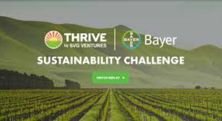 El THRIVE | Bayer Sustainability Challenge