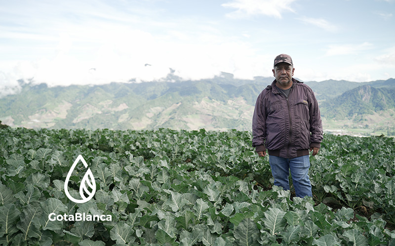 Abdiel Caballero | Cultivando hortalizas sanas en Cerro Punta