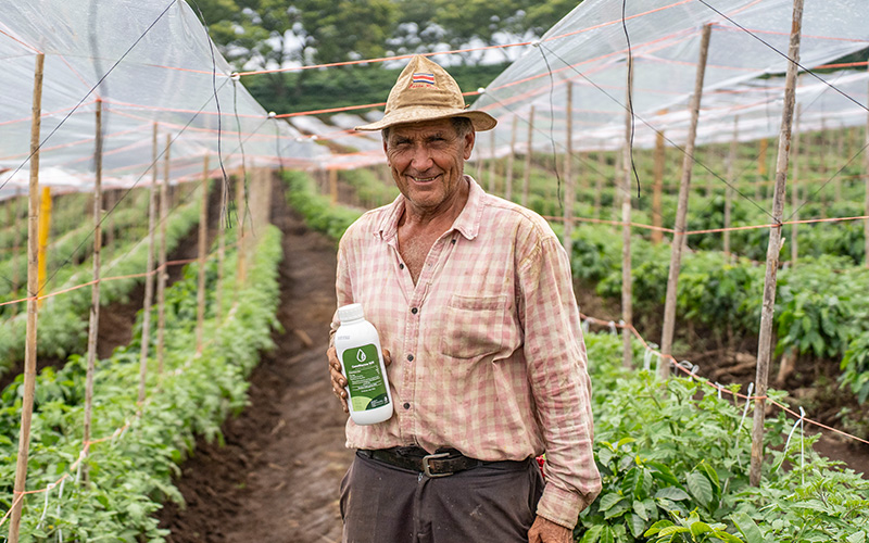 GotaBlanca 500 impulsa la sanidad del tomate: la experiencia de Orlando Valverde, productor de Poás, Alajuela.