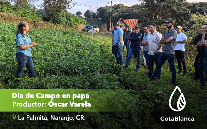 Día de Campo en Papa: Experiencia del Productor Óscar Varela en La Palmita, Naranjo